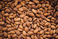 Mamra Almonds - Raju Atmaram's Dryfruits